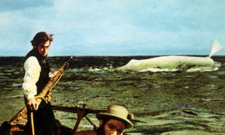 captain-ahab-whale-notes-007